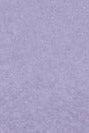 COLORFUL STANDARD - Organic Oversized Crew - Purple Jade - BACKYARD