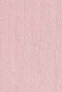 COLORFUL STANDARD - Women Classic Organic Sock - Faded Pink - BACKYARD
