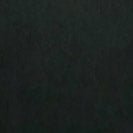 ELVINE - Nalani Jacket - Black - BACKYARD