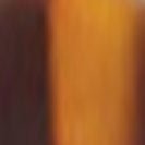 KOMONO - Francis - Tortoise - BACKYARD