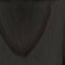 KOMONO - Lionel - Black Tortoise - BACKYARD