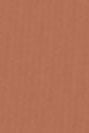 NOTABAG - Notabag Crossbody - Copper - BACKYARD