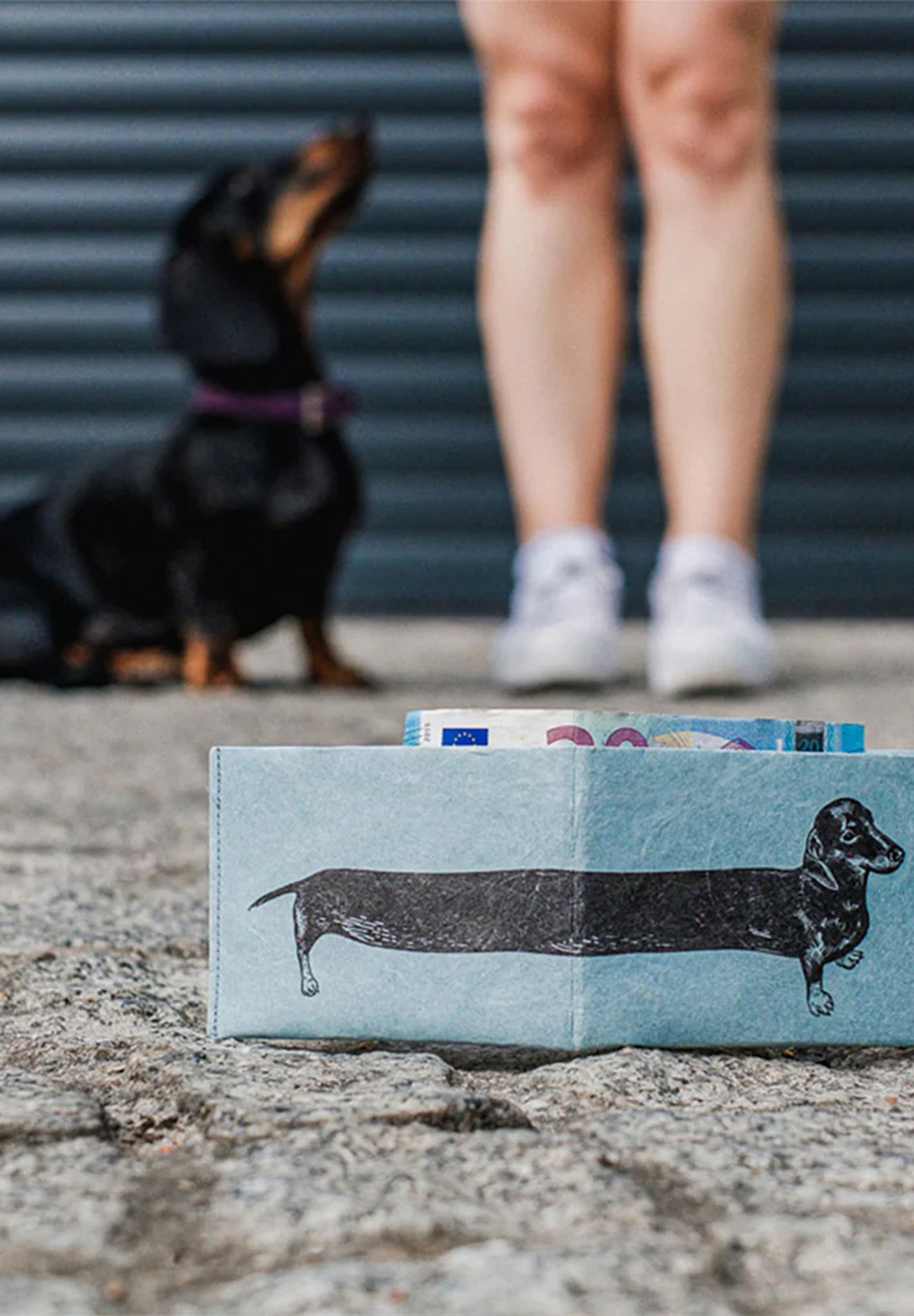 PAPRCUTS - RFID Portemonnaie - Sausage Dog - BACKYARD