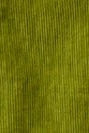 PASSENGER - Backcountry Cord Shirt - Tea Green - BACKYARD