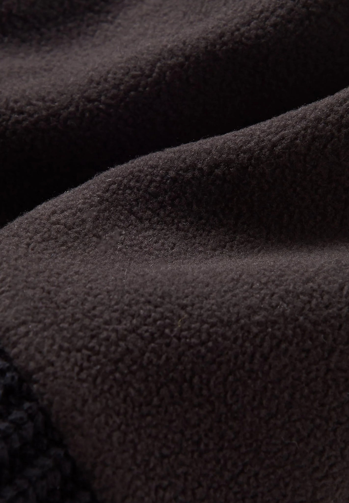 PASSENGER - Beechwood Fleece Lined Recycled Beanie - Black - BACKYARD