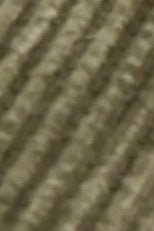PASSENGER - Drifter Cord Short 2.0 - Dusty Olive - BACKYARD