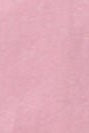 PASSENGER - Heritage Recycled Relaxed Fit LS T-Shirt - Pink Haze - BACKYARD