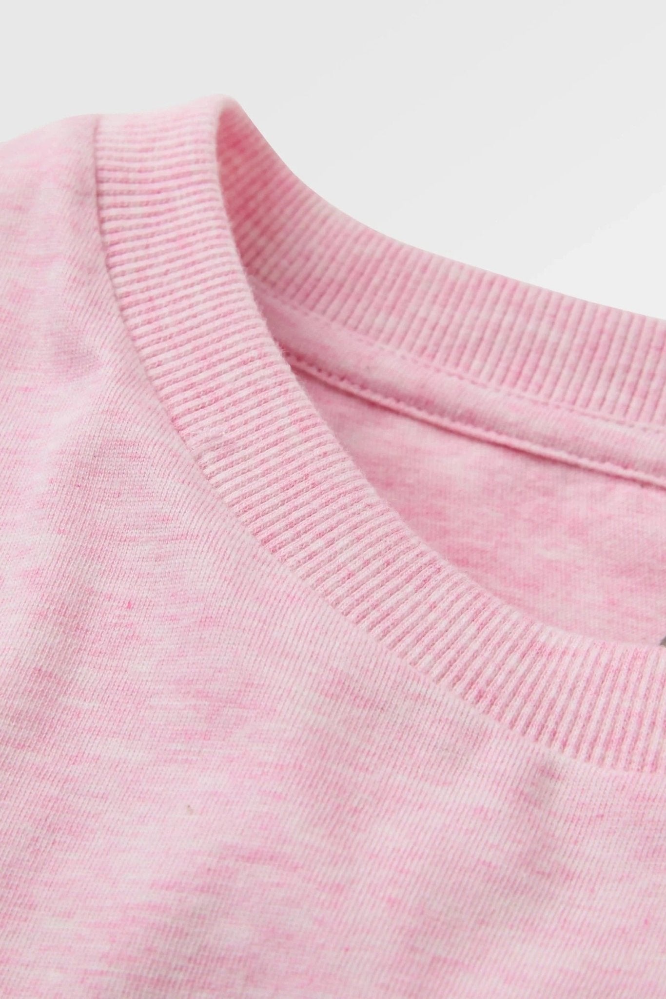 PASSENGER - Legacy T-Shirt - Pink Haze Marl - BACKYARD