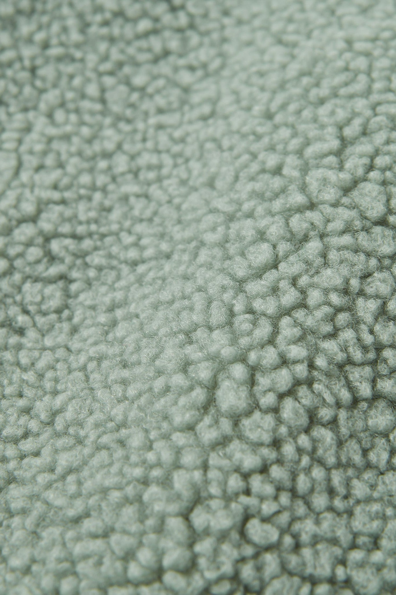 PASSENGER - Lucia Recycled Sherpa Fleece - Pistachio - BACKYARD