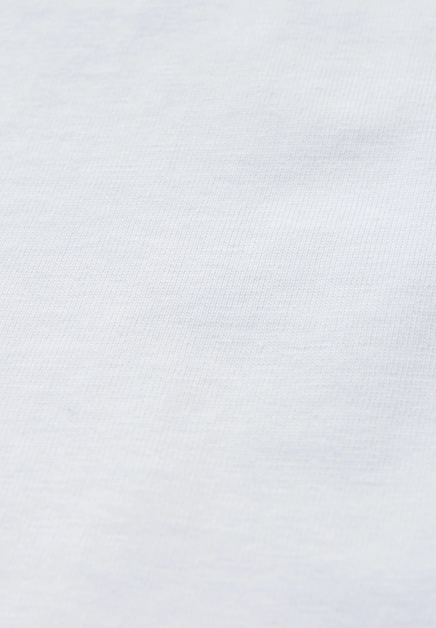 PASSENGER - Trees Organic Cotton T-Shirt - White - BACKYARD