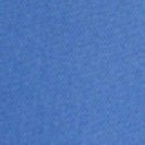 PATAGONIA - P - 6 Logo LoPro Trucker Hat - Abundant Blue - BACKYARD