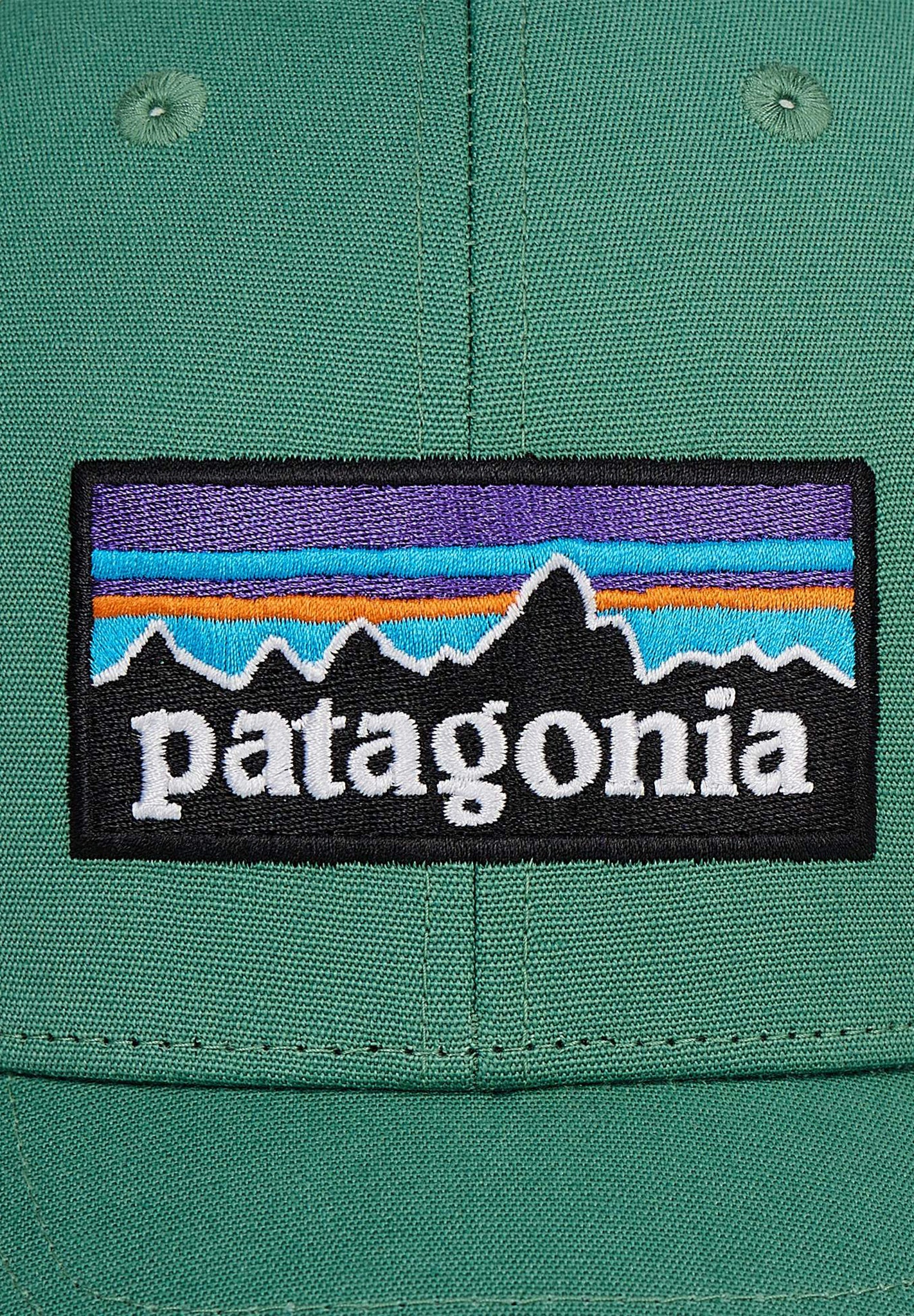 PATAGONIA - P - 6 Logo LoPro Trucker Hat - Heartleaf Green - BACKYARD