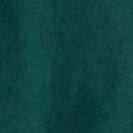 PATAGONIA - Women's Regenerative Organic Certified Cotton Essential Top - Cascade Green - BACKYARD