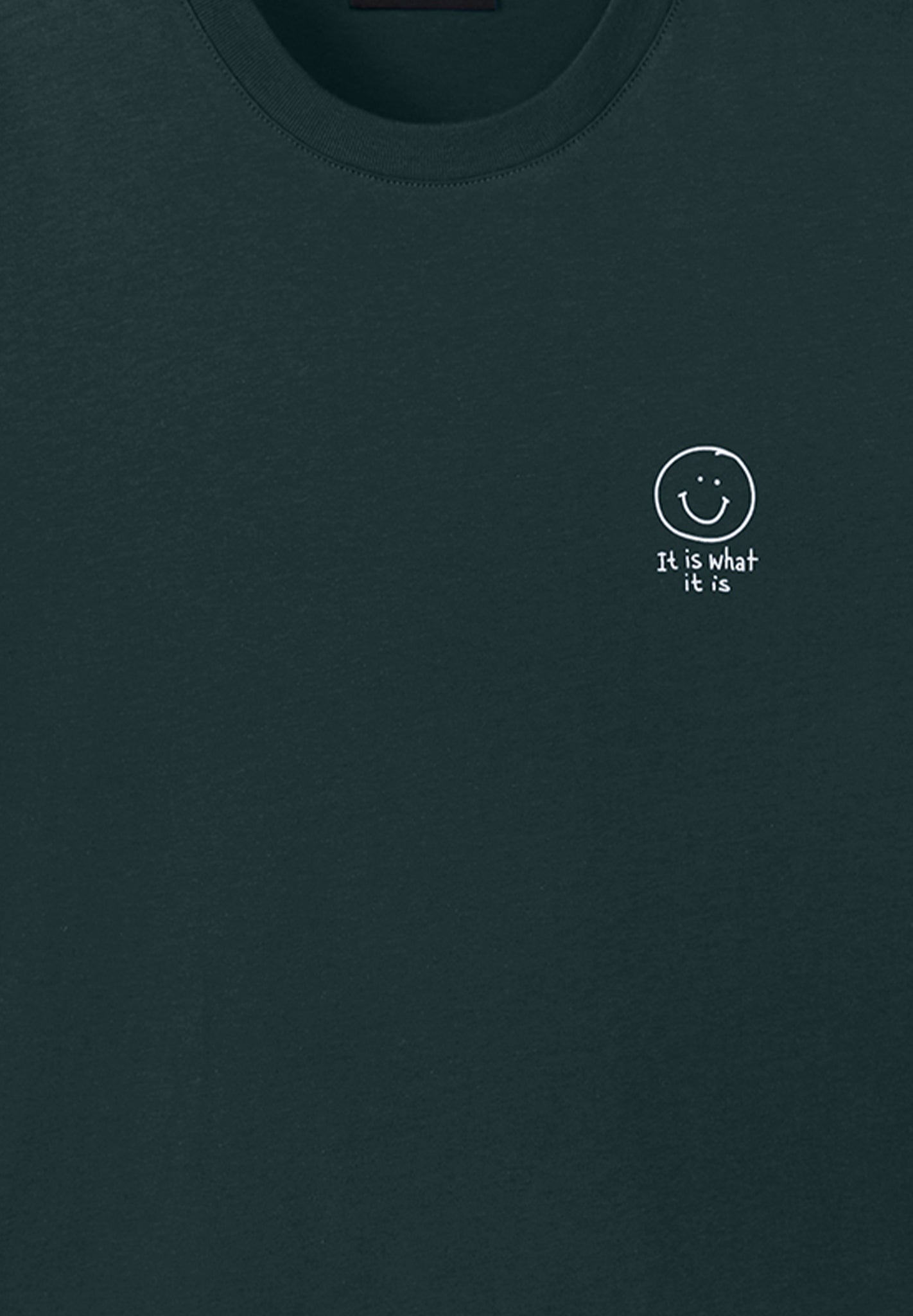 RECOLUTION - Agave Smiley - Deep Green - BACKYARD