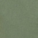 RECOLUTION - Musa - Khaki - BACKYARD