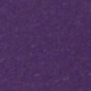 SESSUN - Chebbi - Majesty - BACKYARD