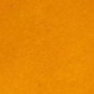 SESSUN - Chebbi - Mango - BACKYARD