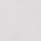 SESSUN - Lady D - Orchid - BACKYARD