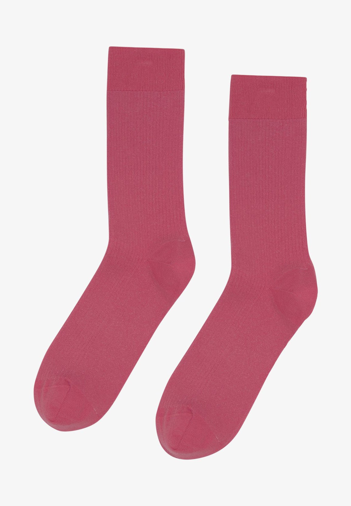 COLORFUL STANDARD - Classic Organic Sock - Raspberry Pink - BACKYARD
