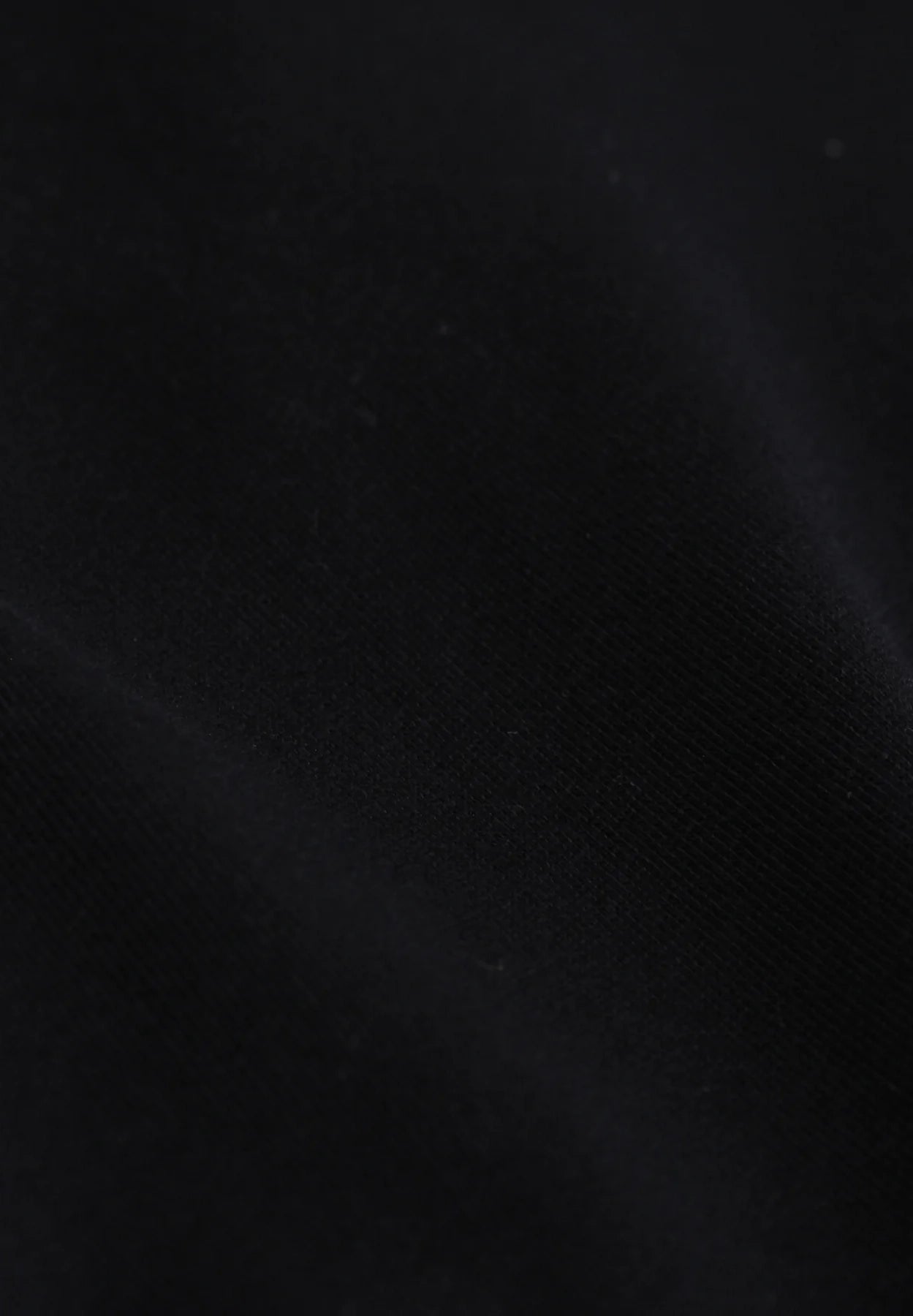 COLORFUL STANDARD - Classic Organic Tee - Deep Black - BACKYARD